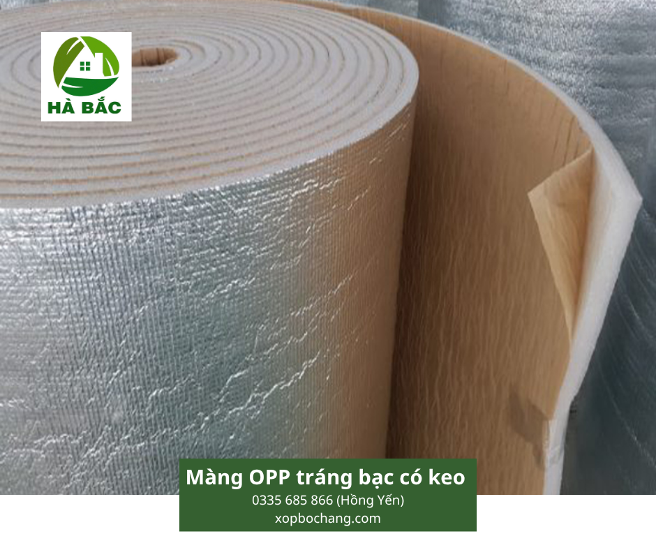 Màng OPP tráng bạc có keo Màng OPP tráng bạc có keo