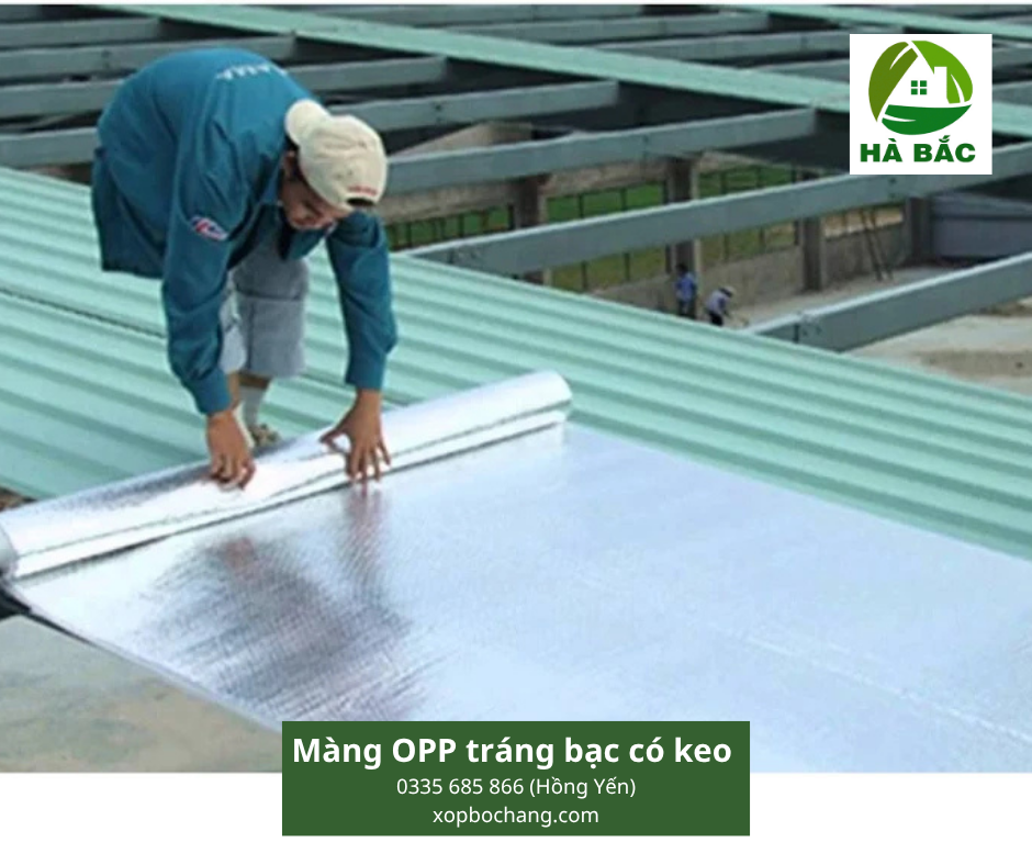 Màng OPP tráng bạc có keo Màng OPP tráng bạc có keo