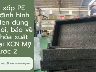 Khay xốp PE Foam định hình màu đen