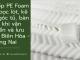 Góc xốp PE Foam
