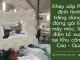 Khay xốp PE Foam định hình màu trắng