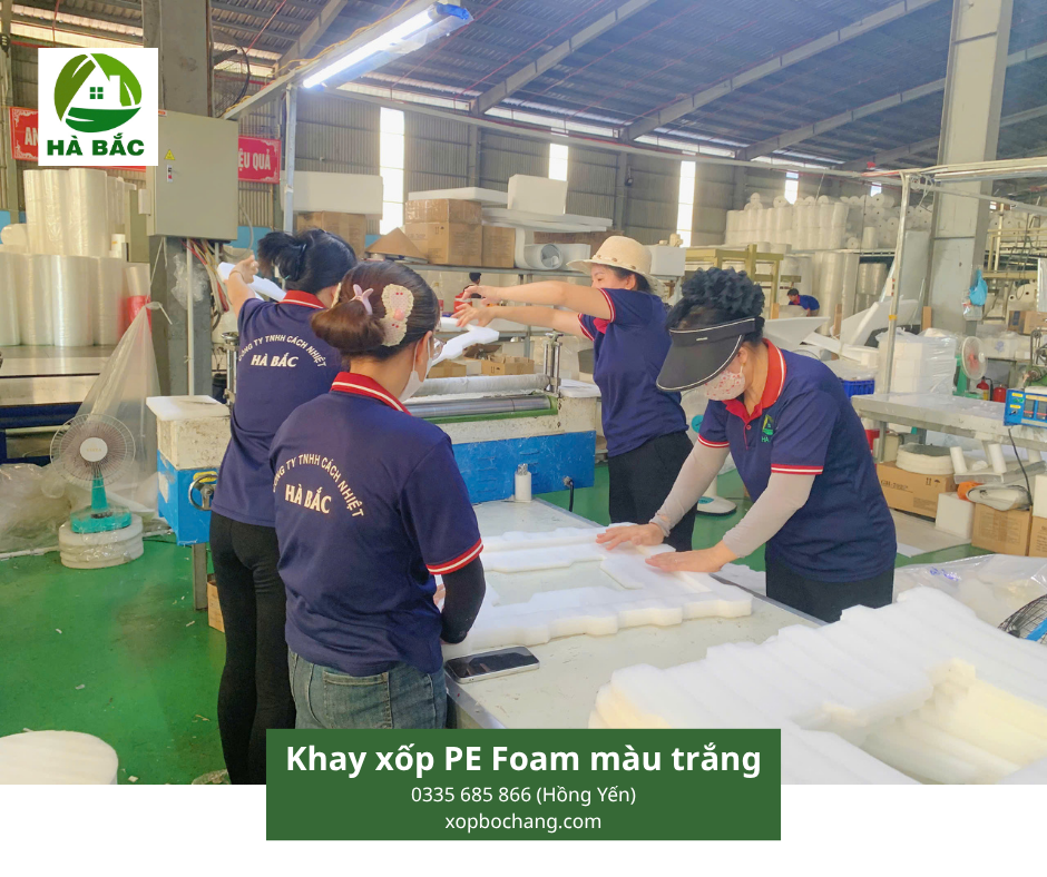 Khay xốp PE Foam định hình màu trắng Khay xốp PE Foam định hình màu trắng