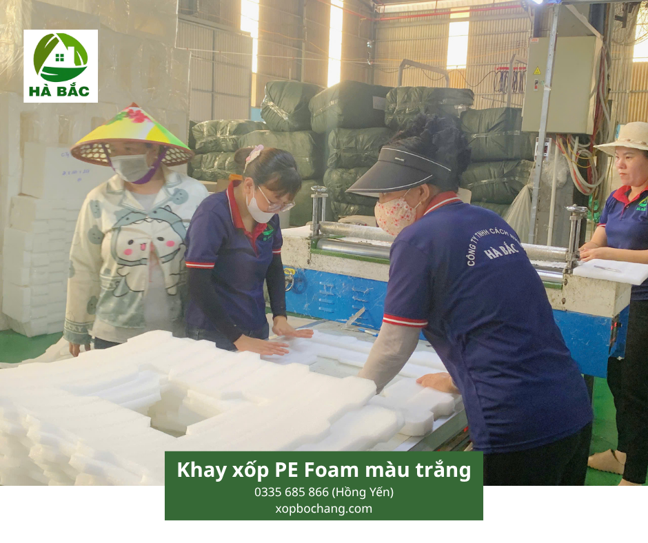 Khay xốp PE Foam định hình màu trắng Khay xốp PE Foam định hình màu trắng