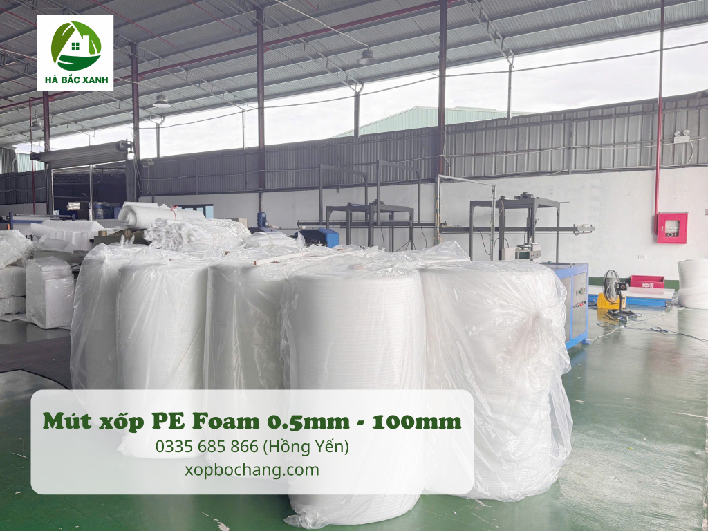 Nhà máy sản xuất mút xốp PE Foam Nhà máy sản xuất mút xốp PE Foam
