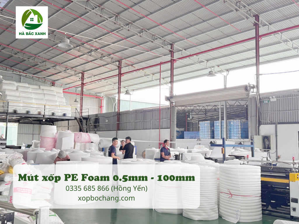 Nhà máy sản xuất mút xốp PE Foam Nhà máy sản xuất mút xốp PE Foam