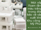 Mút xốp PE Foam định hình màu trắng