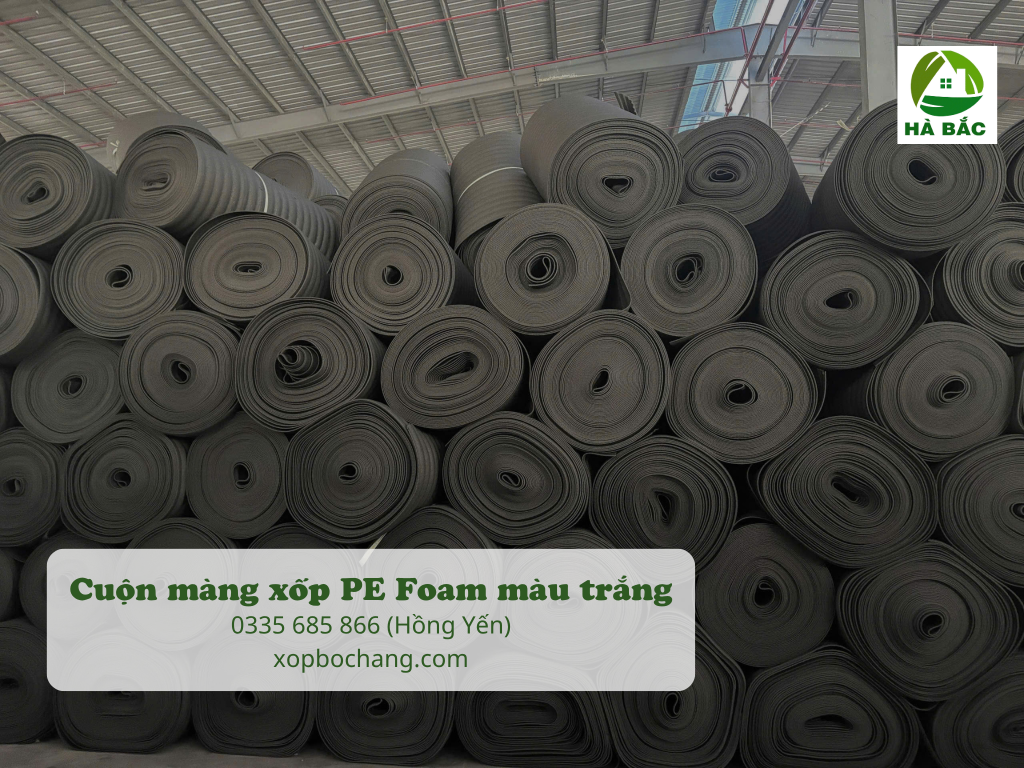 Cuộn màng xốp PE Foam màu đen Cuộn màng xốp PE Foam màu đen