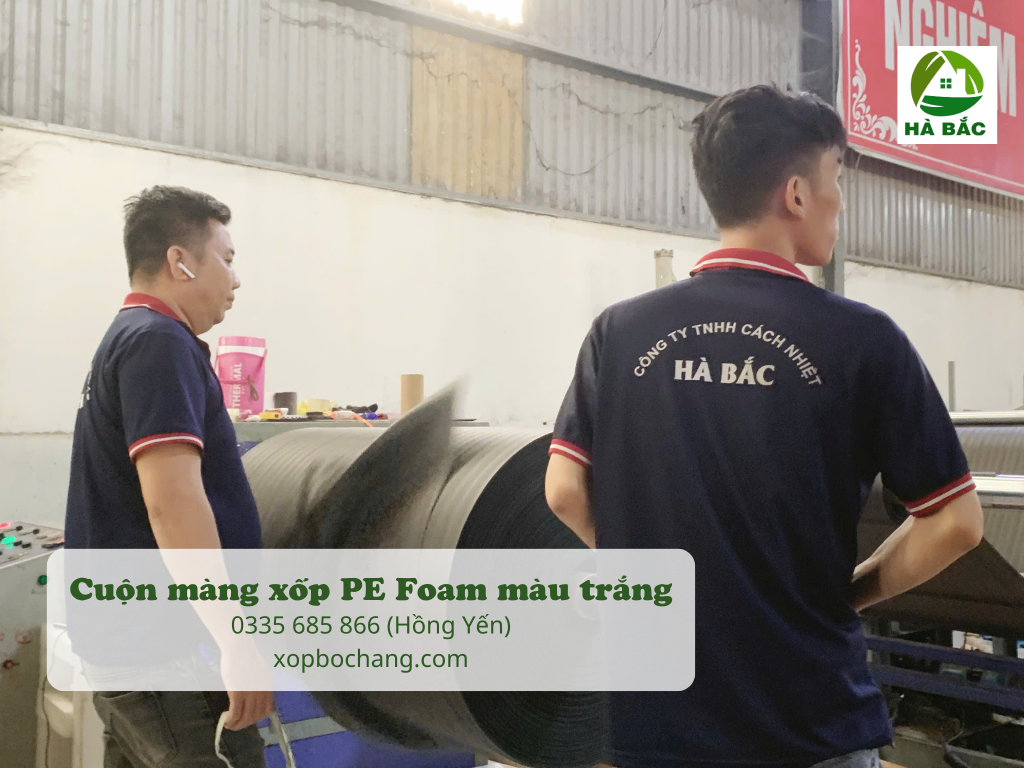 Cuộn màng xốp PE Foam màu đen Cuộn màng xốp PE Foam màu đen