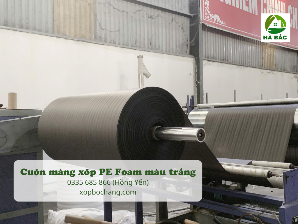 Cuộn màng xốp PE Foam màu đen Cuộn màng xốp PE Foam màu đen
