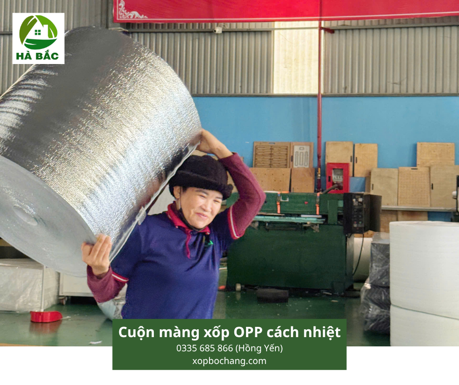 Cuộn màng xốp OPP cách nhiệt
