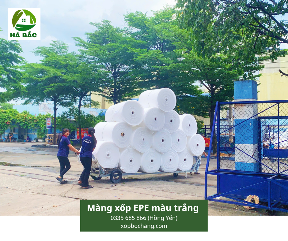 Màng xốp EPE màu trắng