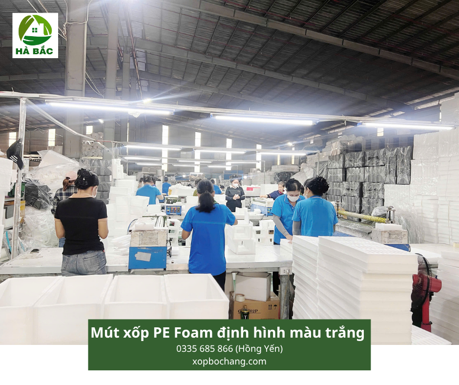 Mút xốp PE Foam định hình màu trắng