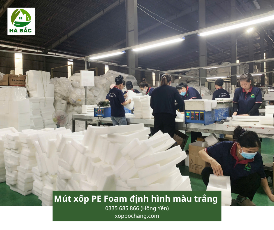 Mút xốp PE Foam định hình màu trắng