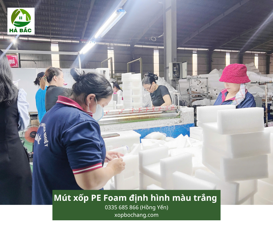 Mút xốp PE Foam định hình màu trắng