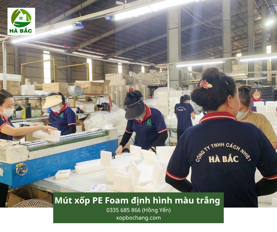 Mút xốp PE Foam định hình màu trắng