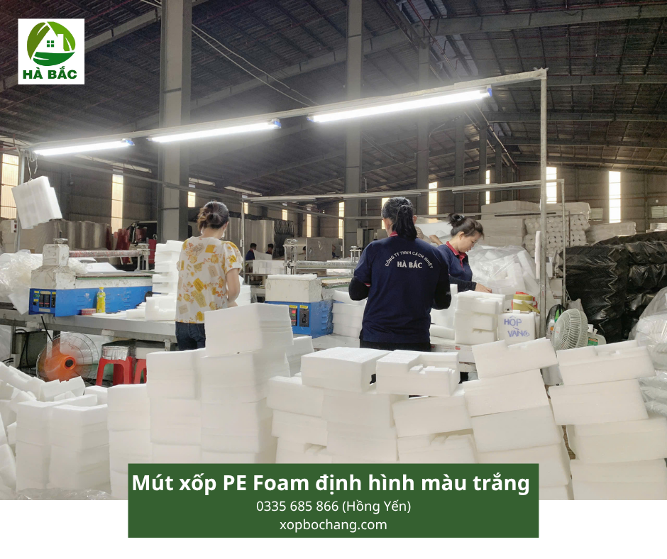 Mút xốp PE Foam định hình màu trắng