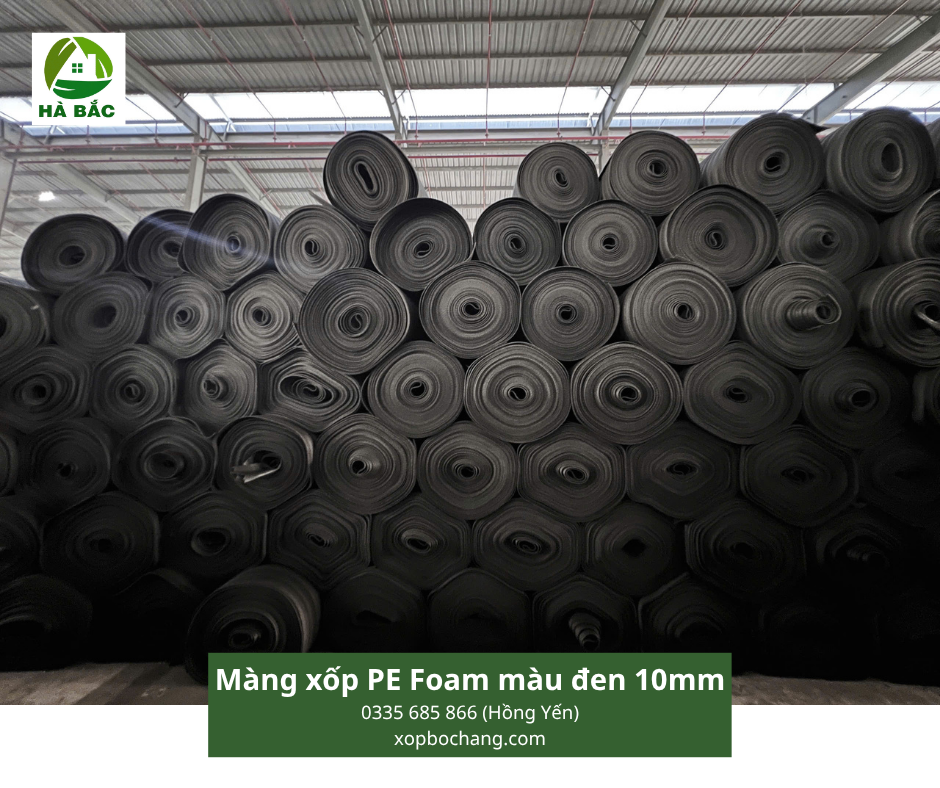 Màng xốp PE Foam màu đen 10mm Màng xốp PE Foam màu đen 10mm