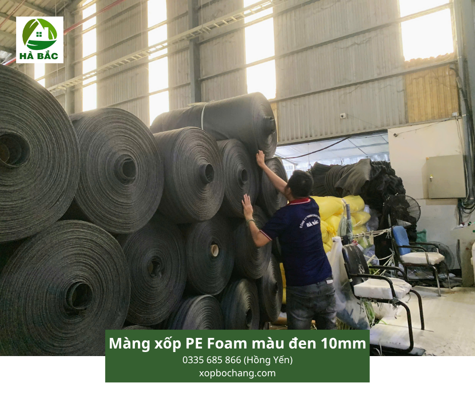 Màng xốp PE Foam màu đen 10mm Màng xốp PE Foam màu đen 10mm