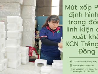 Mút xốp PE Foam định hình
