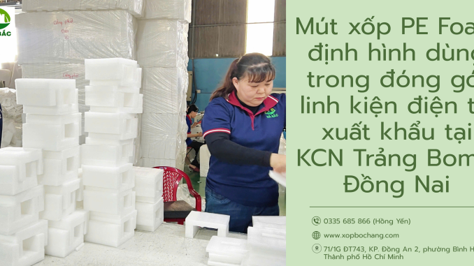 Mút xốp PE Foam định hình Mút xốp PE Foam định hình