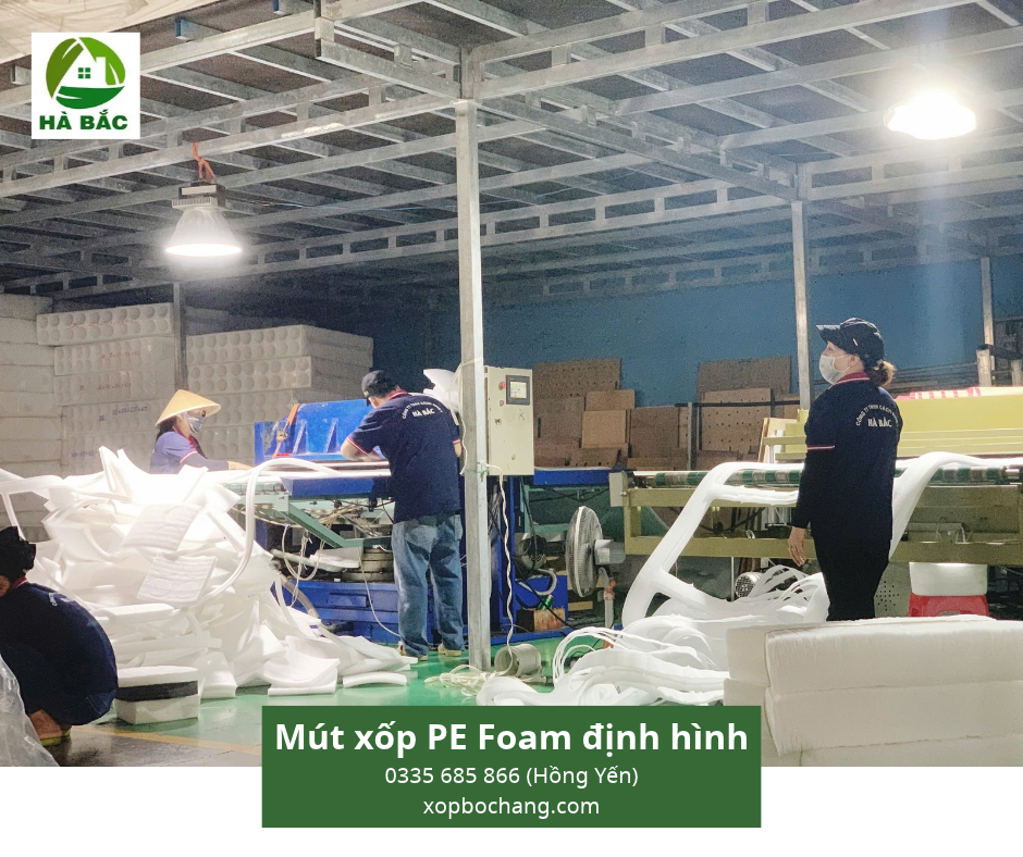 Mút xốp PE Foam định hình Mút xốp PE Foam định hình