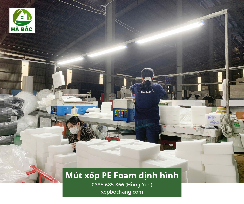 Mút xốp PE Foam định hình Mút xốp PE Foam định hình