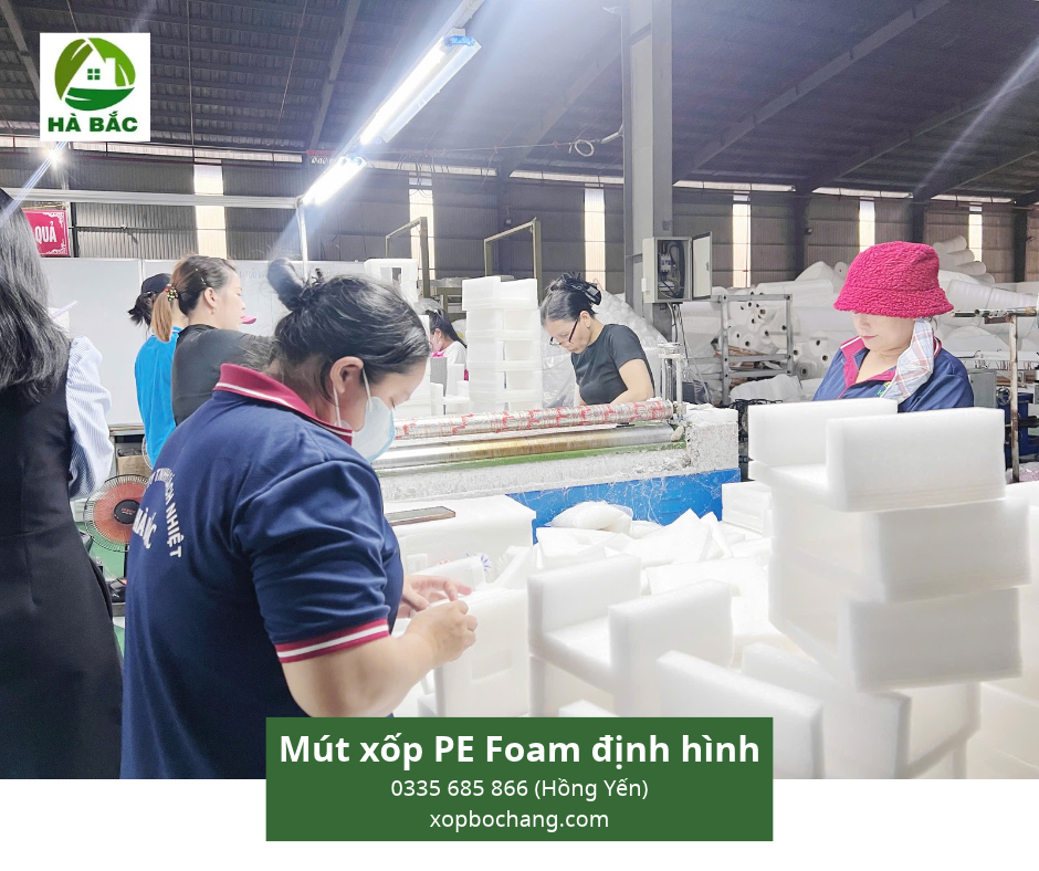 Mút xốp PE Foam định hình Mút xốp PE Foam định hình