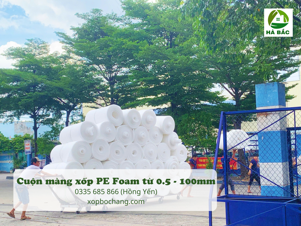 Cuộn màng xốp PE Foam Cuộn màng xốp PE Foam